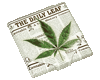Daily leaf cigarette case