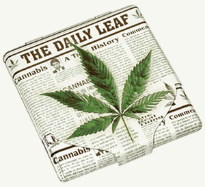 Daily leaf cigarette case