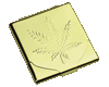 Gold leaf cigarette case