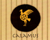 calamus