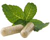 Kratom Bali Powder Caps