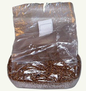 magic rye mushbag grow pack
