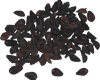 morning glory seeds