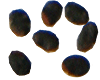 Peruvian torch seeds