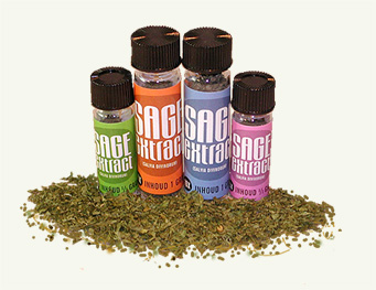salvia sage extract