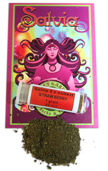 <B>SALVIA STRAWBERRY 5X EXTRACT  </B>