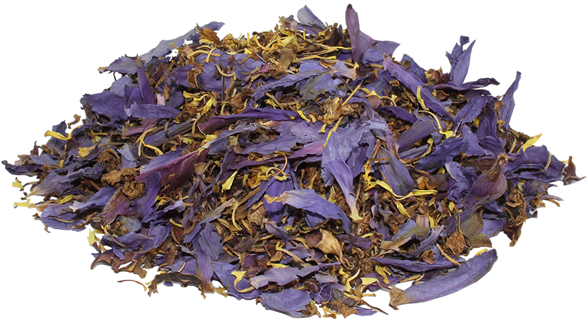 Looking For Blue Lotus Flower Buy It Here