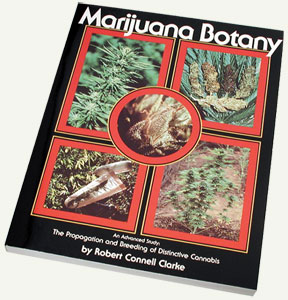 Marijuana Botany