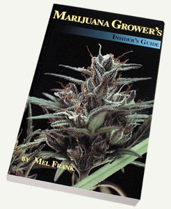 Marijuana Insiders Guide