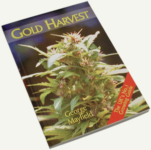 Gold Harvest