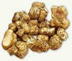 atlantis champignon truffes