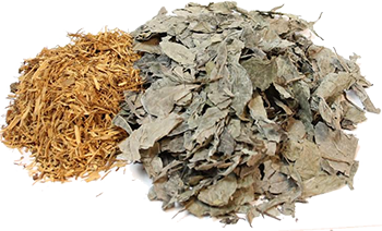 Ayahuasca#1