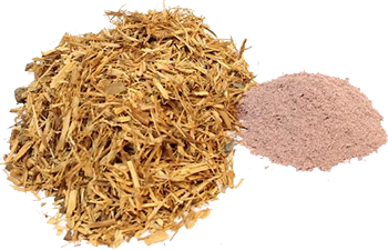 Ayahuasca#2