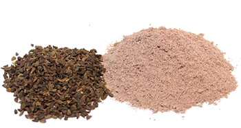 Ayahuasca#4