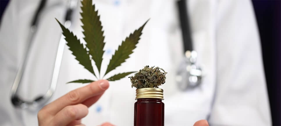 CBD Is Not Dangerous or Addictive, WHO Says