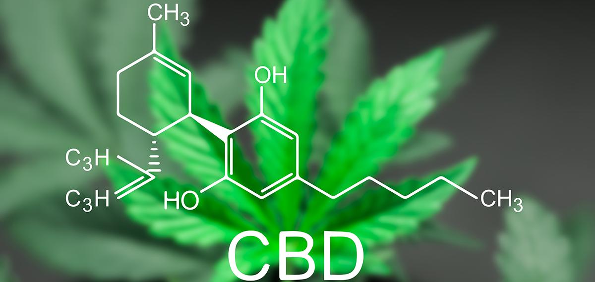  ¿Qué es exactamente el CBD?