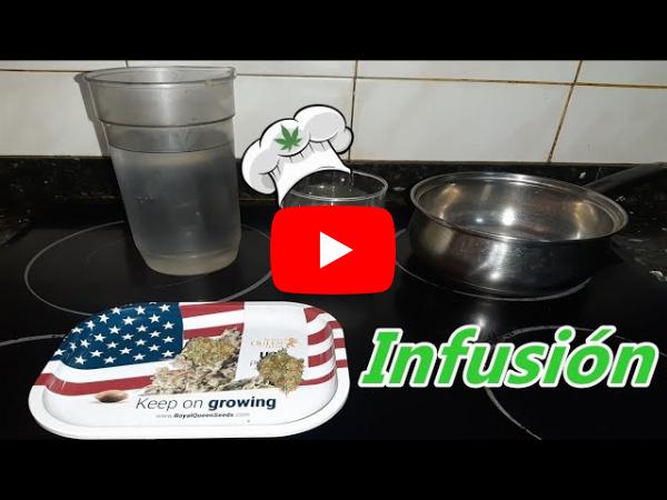 5 Recetas de Té de Cannabis para Cualquier Momento del Día