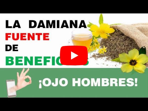 La Damiana: Uno de Los Remedios Naturales Más Antiguos