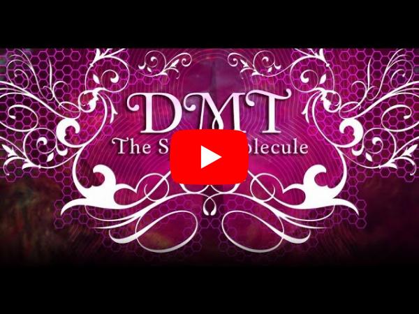 What Is DMT?