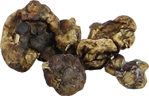dry magic truffles