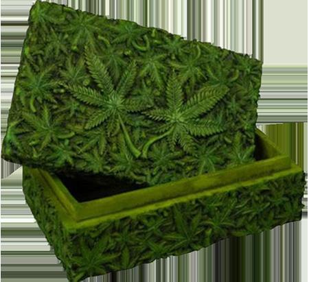 Weed Leaf Stash Box