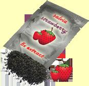 Salvia strawberry 5X extact