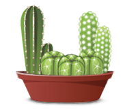 Cactus psicodélico