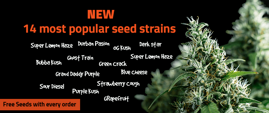 new seed strains en