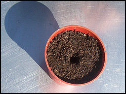 soil with a hole