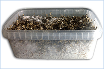 growkit substrate