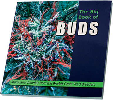 The Big Book Of Buds