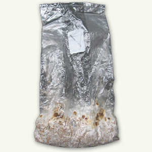 z XL growkit mexicana a
